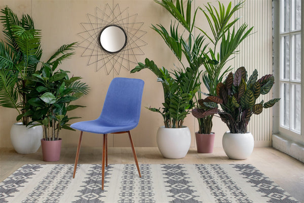 Stuhl Maggie 100 2er-Set