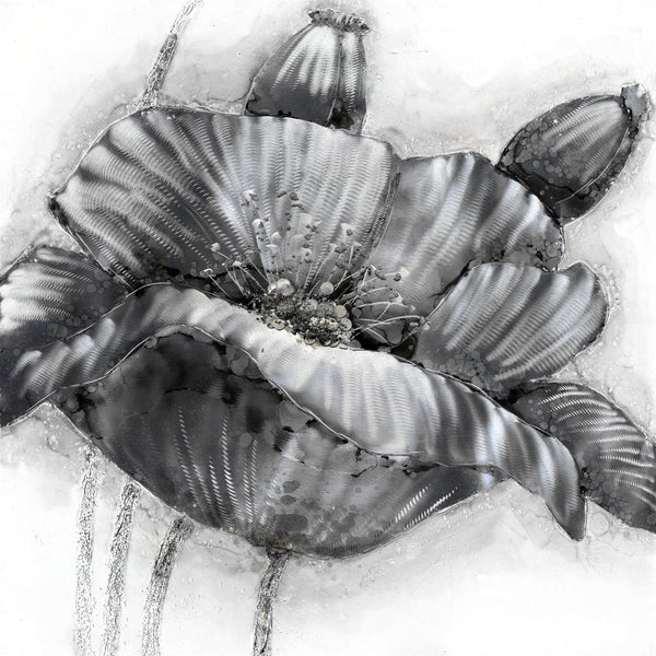 Aluminium Wandbild Poppy 80x80 COL350