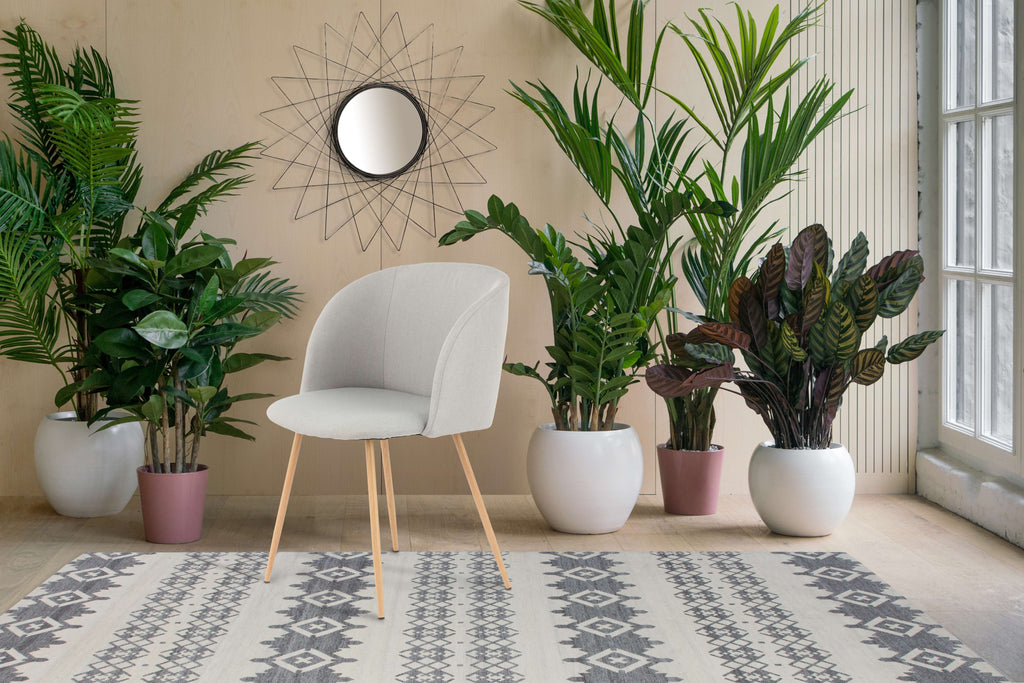 Stuhl Celina 200 2er-Set