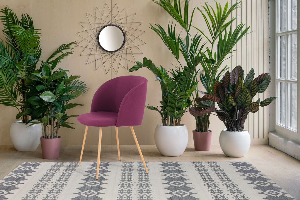 Stuhl Celina 200 2er-Set