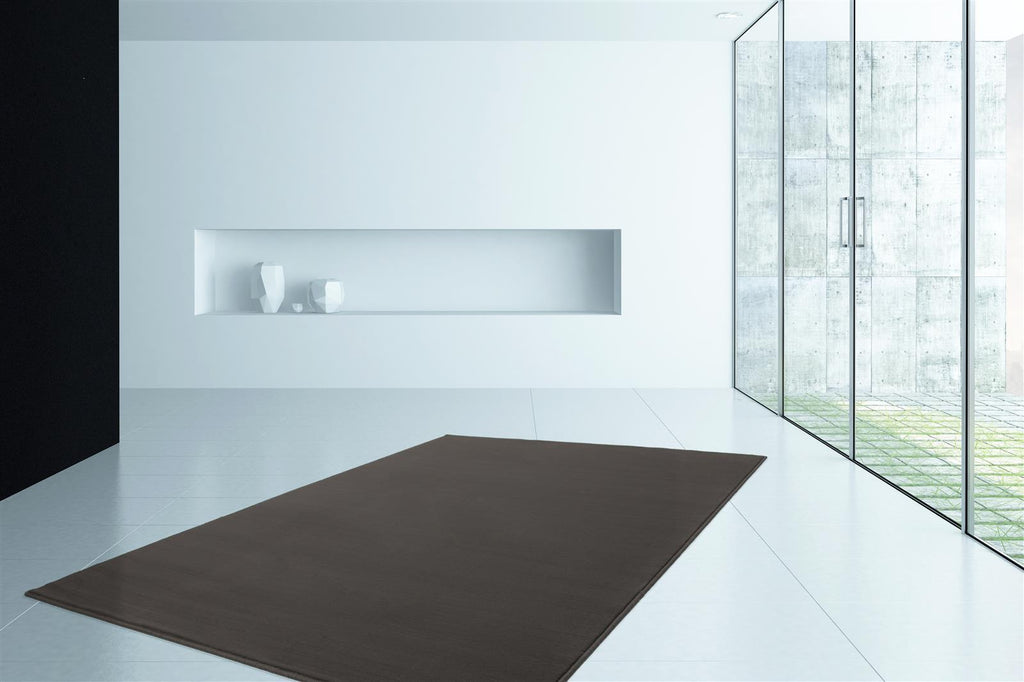 Delia 485