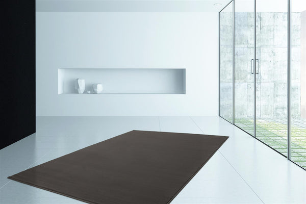 Delia 485