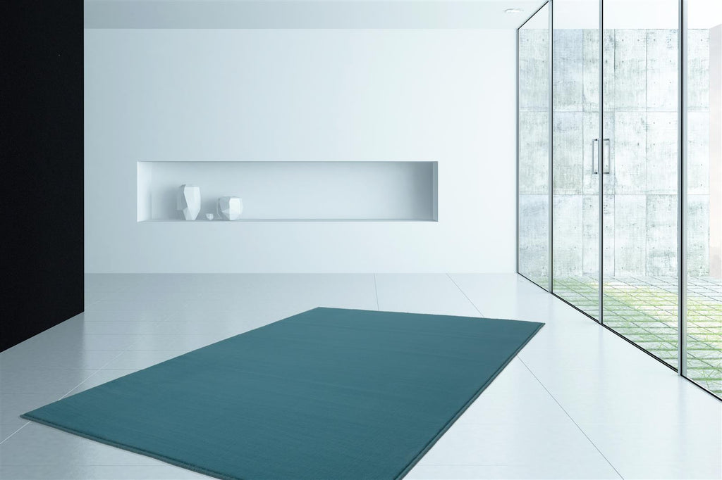 Delia 485