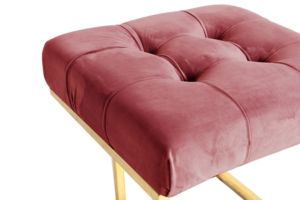 Hocker Rare 100