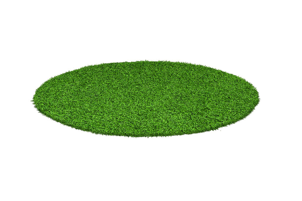 Grass 100