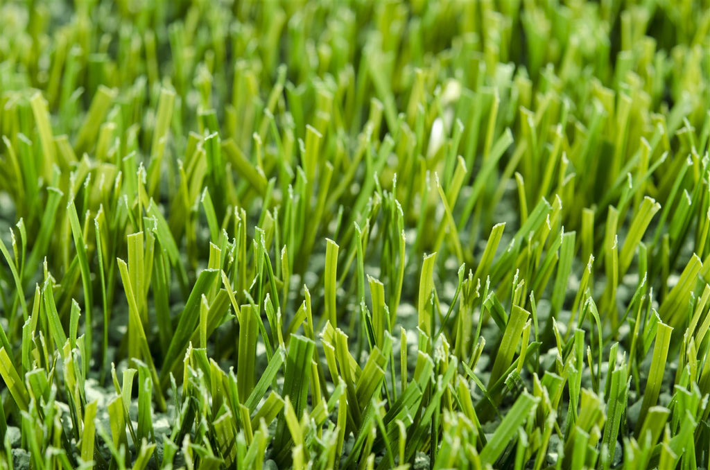 Grass 100